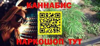 прущие крисы Тара