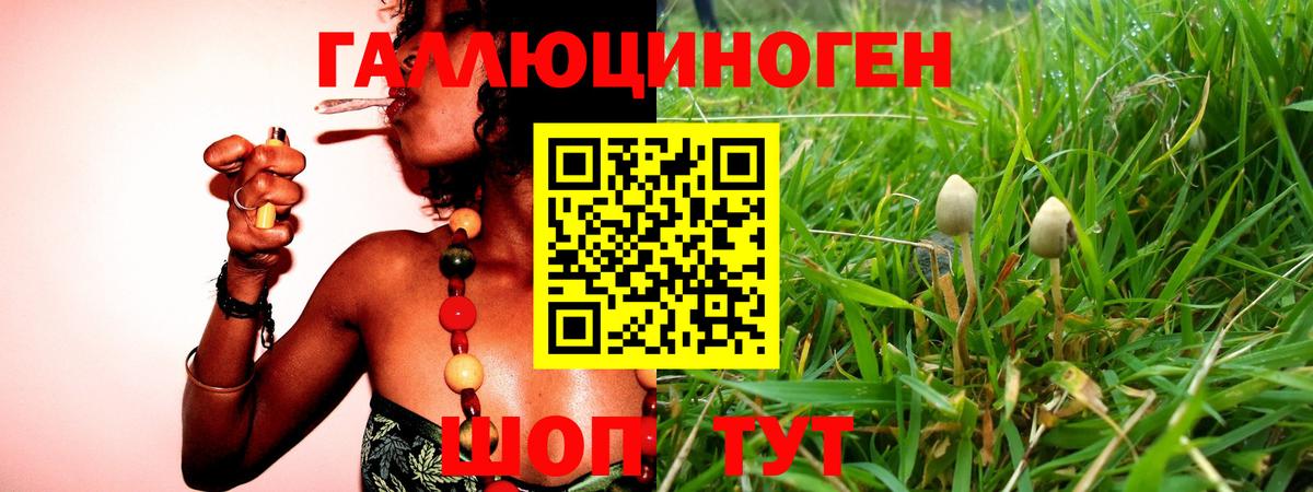 Октябрьский  Галлюциногенные грибы Cubensis  Галлюциногенные грибы Psilocybine cubensis  Вход с VPN 
