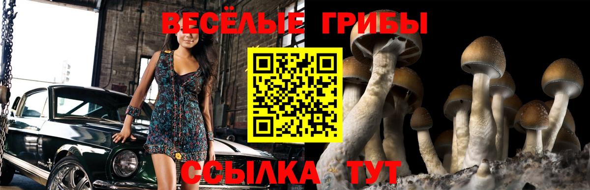Псилоцибиновые грибы MAGIC MUSHROOMS Октябрьский